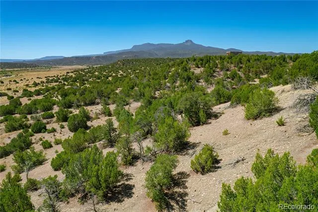 37300 Kunzite Road Trinidad, CO 81082