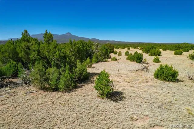 37300 Kunzite Road Trinidad, CO 81082