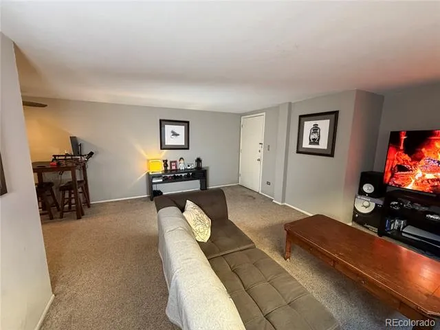 352 S Lafayette #403 Denver, CO 80209