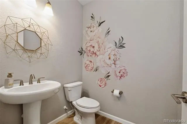 6458 Amur Court Castle Rock, CO 80108