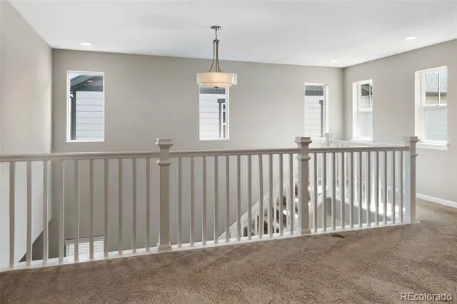 6458 Amur Court Castle Rock, CO 80108