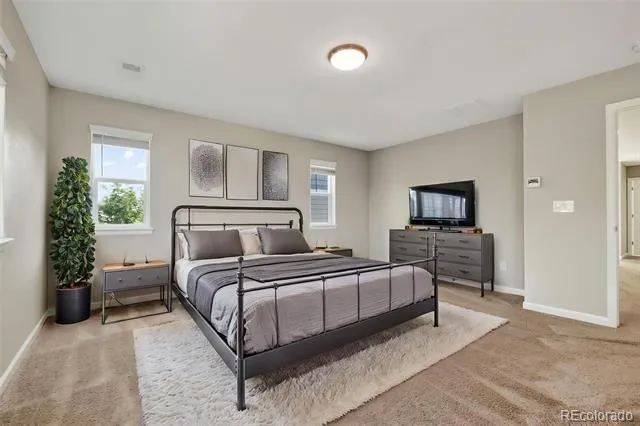 6458 Amur Court Castle Rock, CO 80108