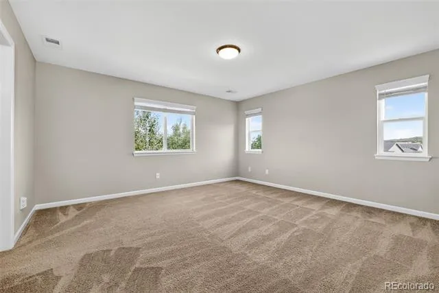 6458 Amur Court Castle Rock, CO 80108