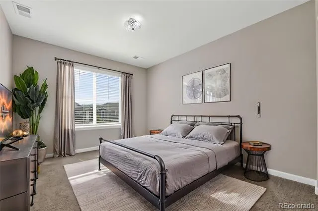 6458 Amur Court Castle Rock, CO 80108