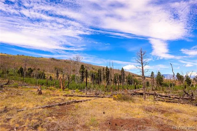 768 Shepard Place Fort Garland, CO 81133