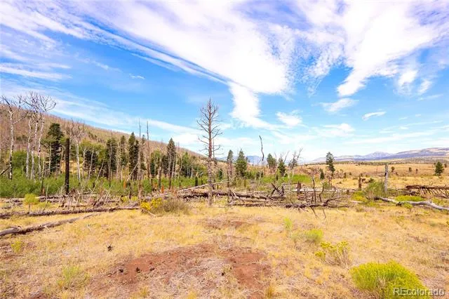 768 Shepard Place Fort Garland, CO 81133