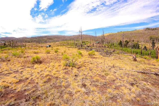768 Shepard Place Fort Garland, CO 81133