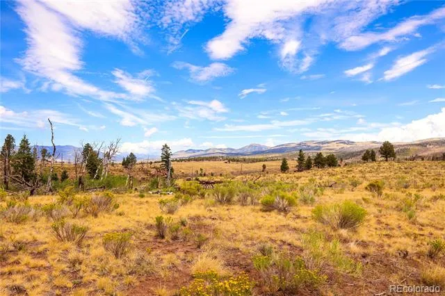 768 Shepard Place Fort Garland, CO 81133