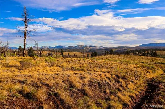 768 Shepard Place Fort Garland, CO 81133