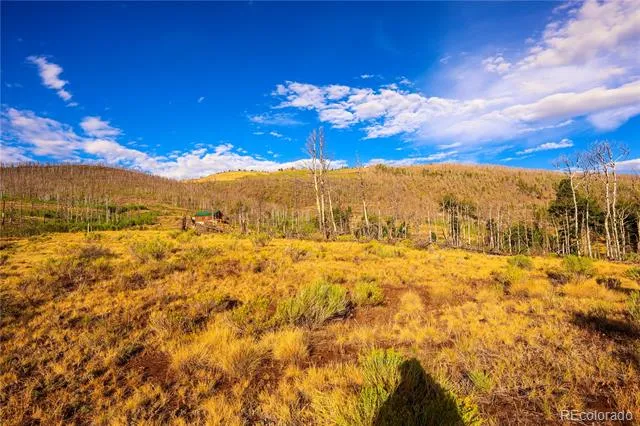 768 Shepard Place Fort Garland, CO 81133