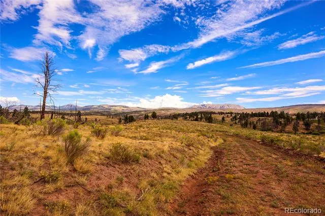 768 Shepard Place Fort Garland, CO 81133