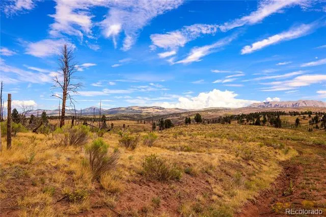 768 Shepard Place Fort Garland, CO 81133