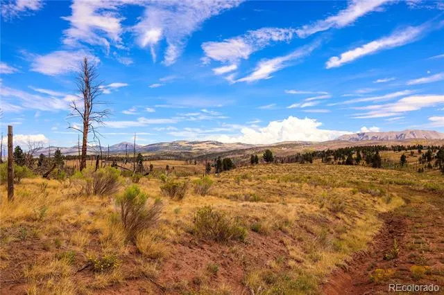 768 Shepard Place Fort Garland, CO 81133