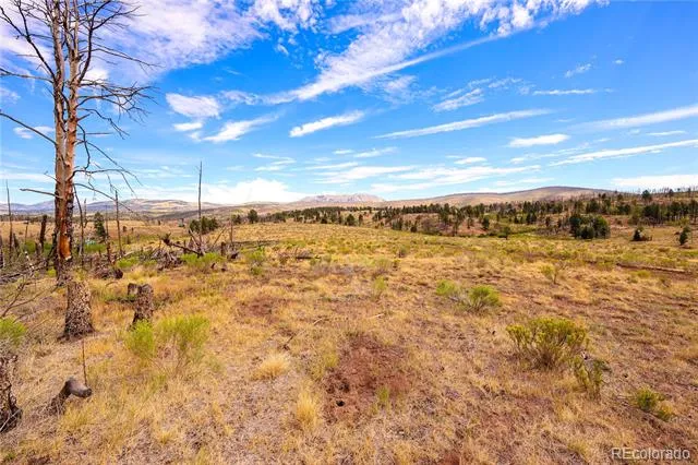 768 Shepard Place Fort Garland, CO 81133