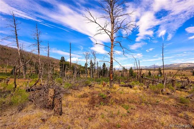 768 Shepard Place Fort Garland, CO 81133