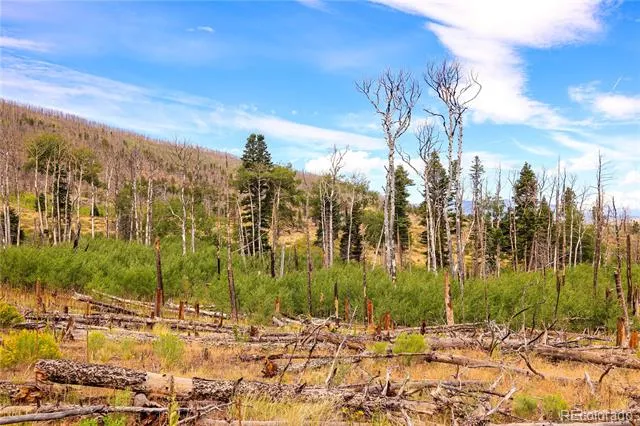 768 Shepard Place Fort Garland, CO 81133