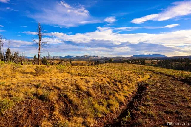 768 Shepard Place Fort Garland, CO 81133