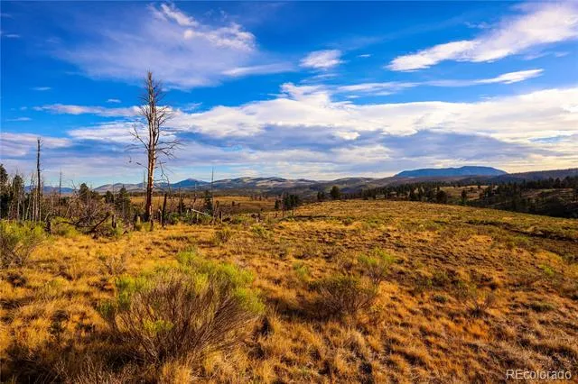 768 Shepard Place Fort Garland, CO 81133
