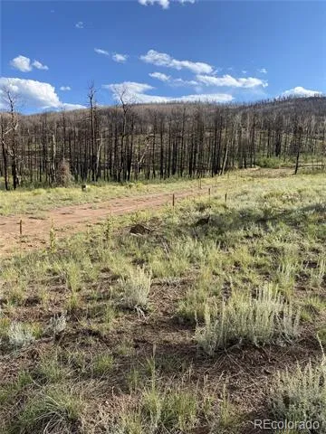768 Shepard Place Fort Garland, CO 81133