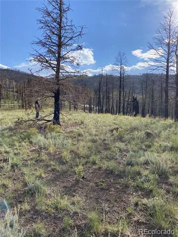 768 Shepard Place Fort Garland, CO 81133