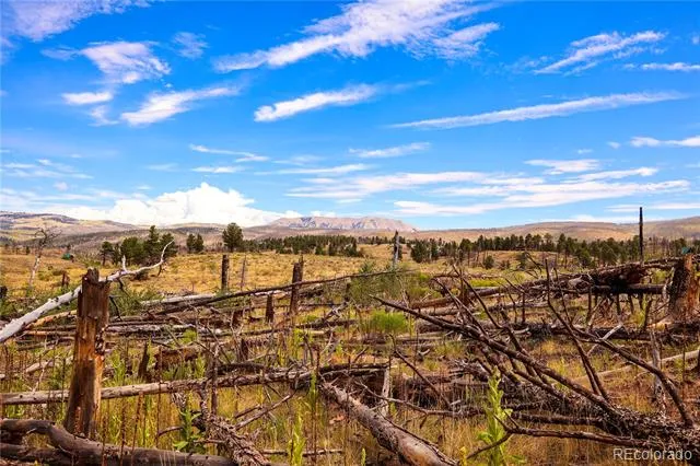 768 Shepard Place Fort Garland, CO 81133