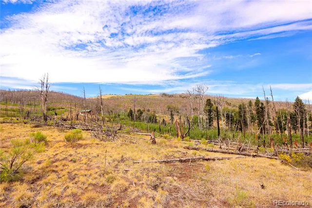 768 Shepard Place Fort Garland, CO 81133
