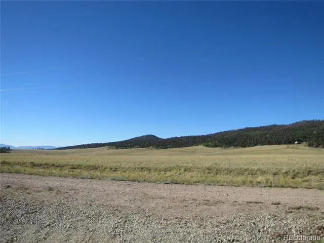 1250 Bolster Drive Hartsel, CO 80449