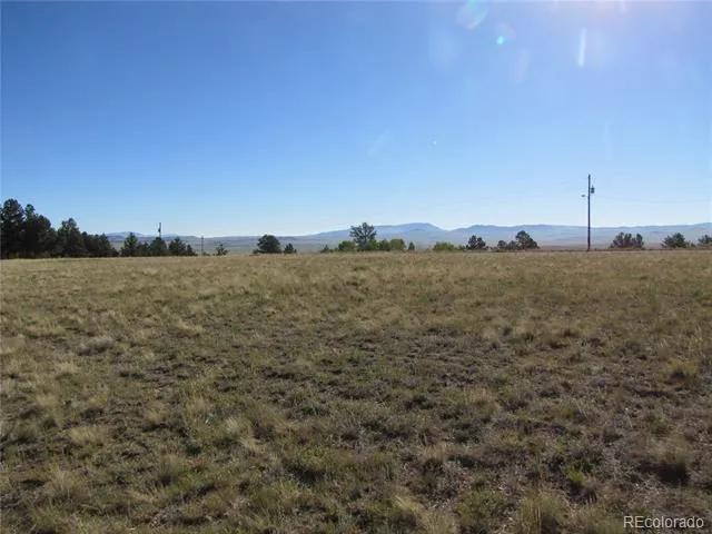 1250 Bolster Drive Hartsel, CO 80449