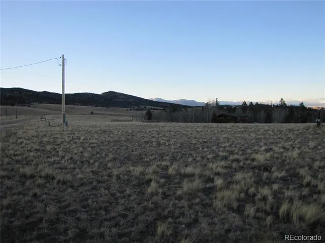 1250 Bolster Drive Hartsel, CO 80449