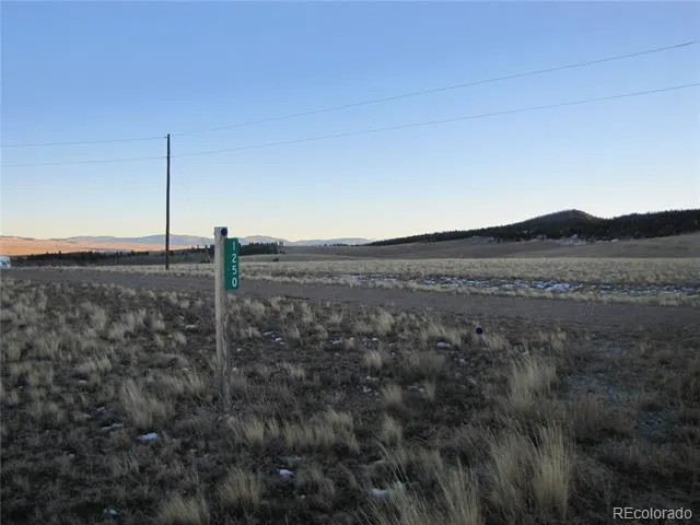 1250 Bolster Drive Hartsel, CO 80449