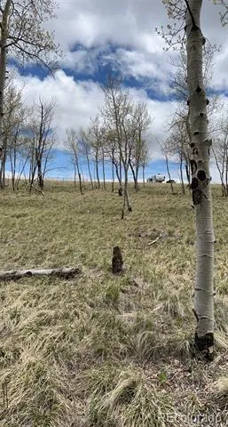 1250 Bolster Drive Hartsel, CO 80449
