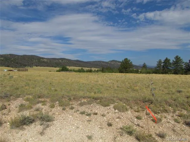 1250 Bolster Drive Hartsel, CO 80449
