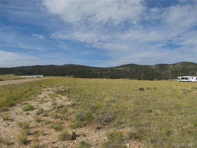 1250 Bolster Drive Hartsel, CO 80449