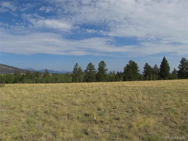 1250 Bolster Drive Hartsel, CO 80449