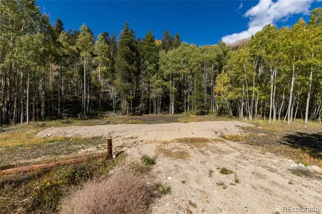 10575 Co-82 Twin Lakes, CO 81251