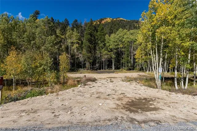 10575 Co-82 Twin Lakes, CO 81251