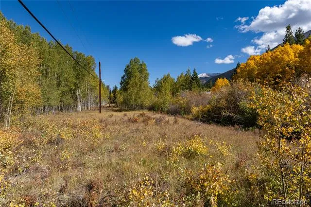 10575 Co-82 Twin Lakes, CO 81251