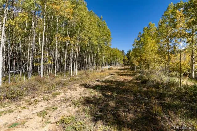 10575 Co-82 Twin Lakes, CO 81251