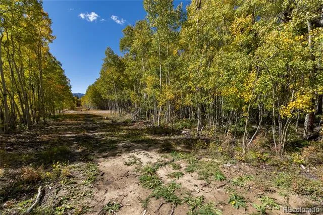 10575 Co-82 Twin Lakes, CO 81251