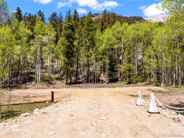 10575 Co-82 Twin Lakes, CO 81251