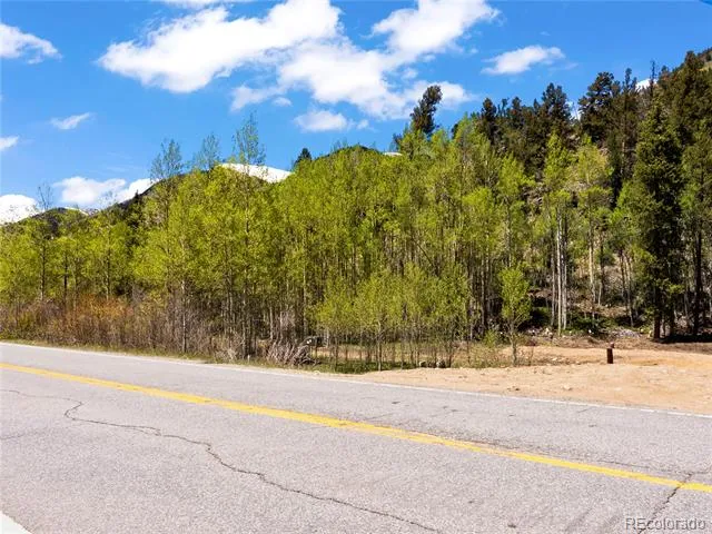 10575 Co-82 Twin Lakes, CO 81251