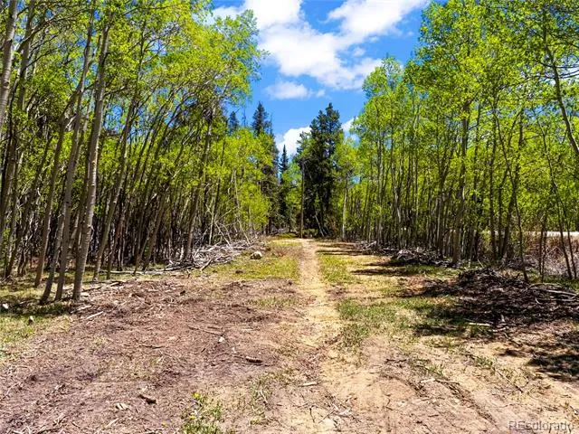 10575 Co-82 Twin Lakes, CO 81251