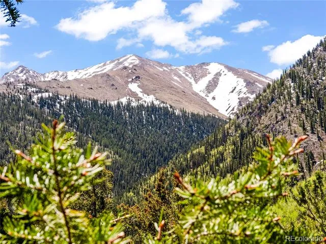 10575 Co-82 Twin Lakes, CO 81251