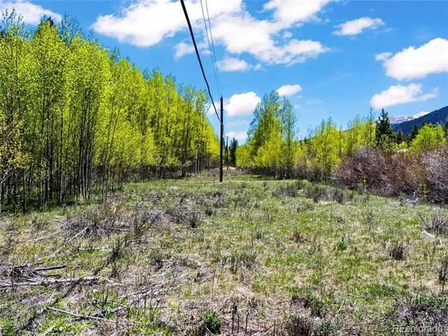 10575 Co-82 Twin Lakes, CO 81251
