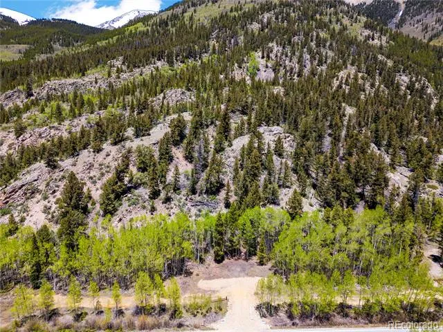 10575 Co-82 Twin Lakes, CO 81251