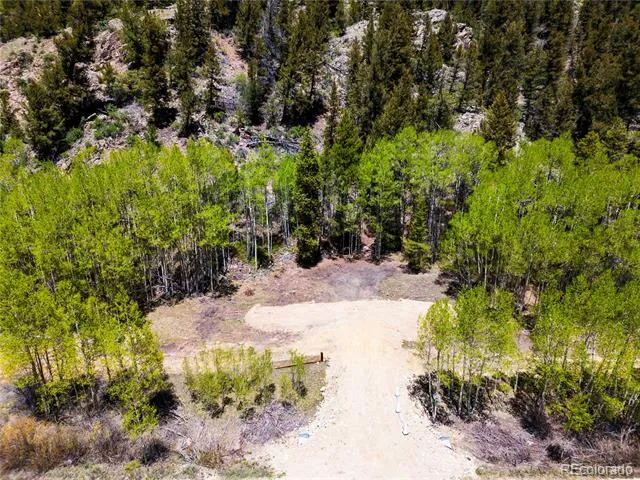 10575 Co-82 Twin Lakes, CO 81251