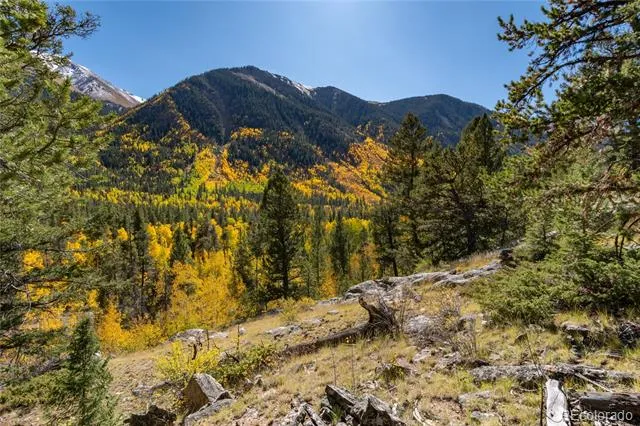 10575 Co-82 Twin Lakes, CO 81251
