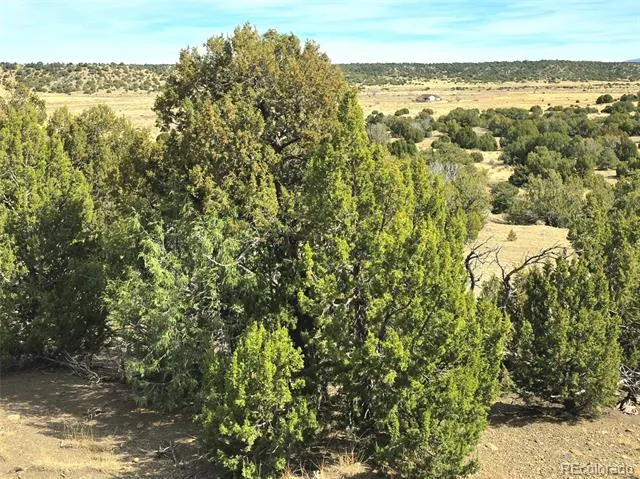 Lot 21 of 13565 Bat Masterson Drive Trinidad, CO 81082