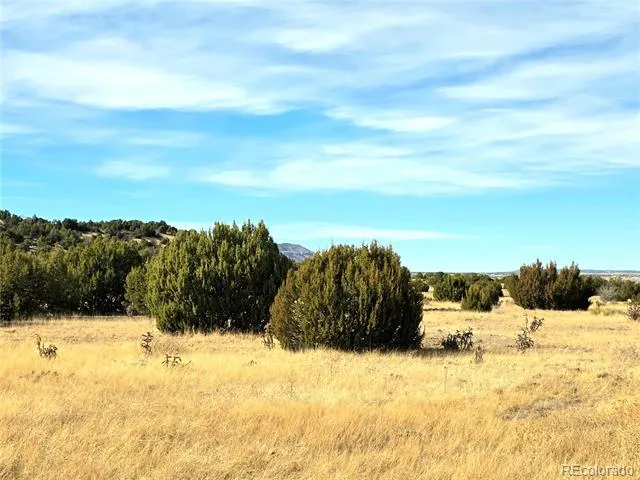 Lot 21 of 13565 Bat Masterson Drive Trinidad, CO 81082