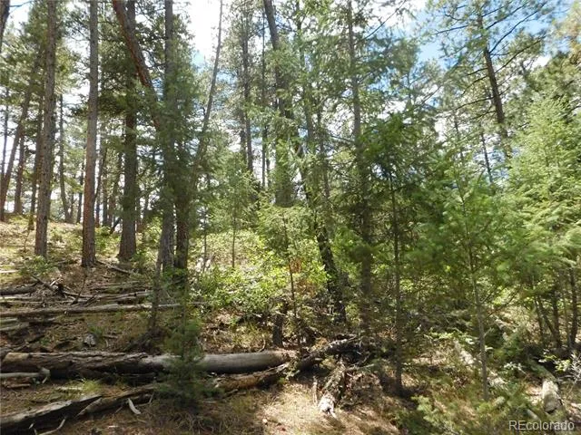 8139 Bannock Drive Larkspur, CO 80118